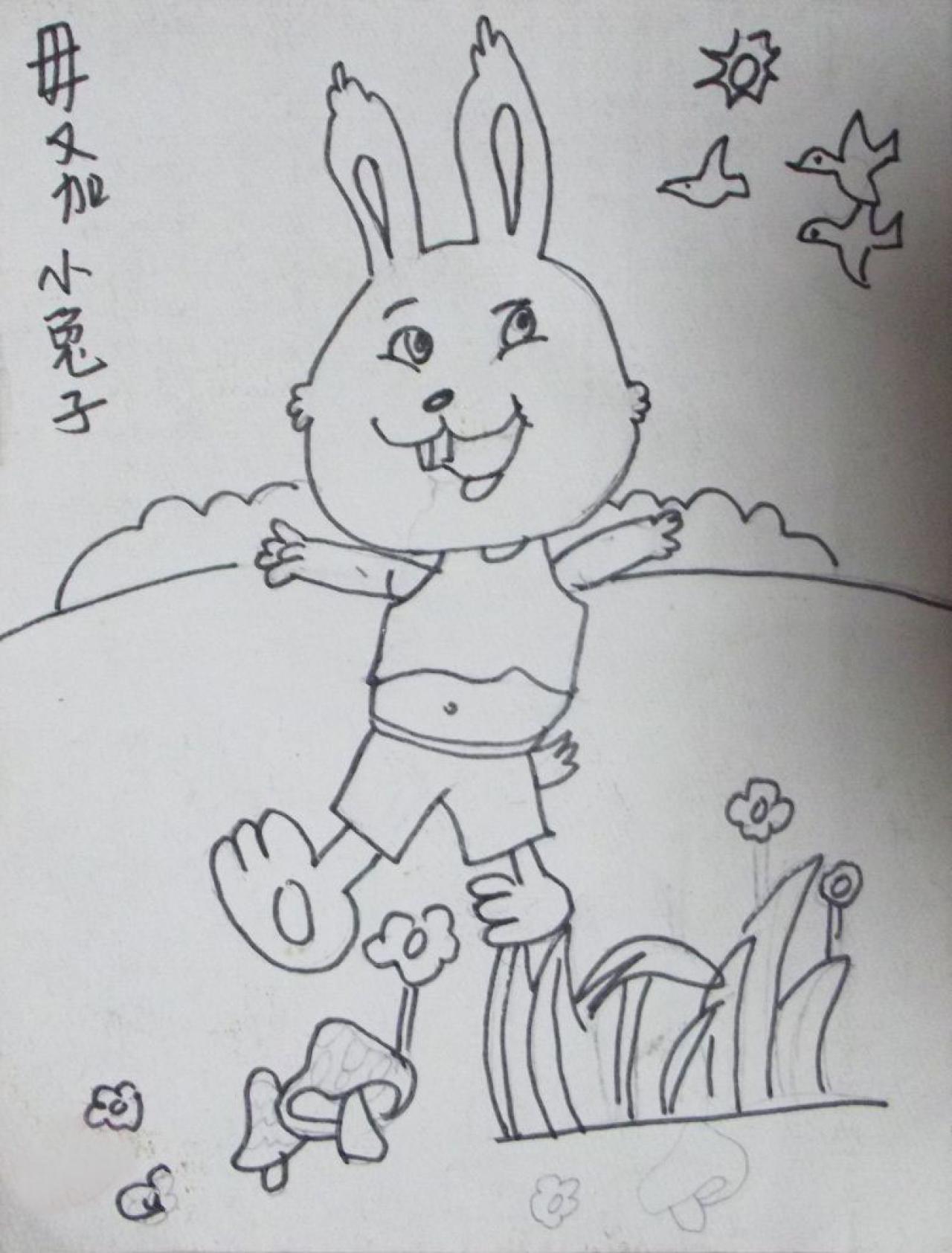 小兔子 毋又加画