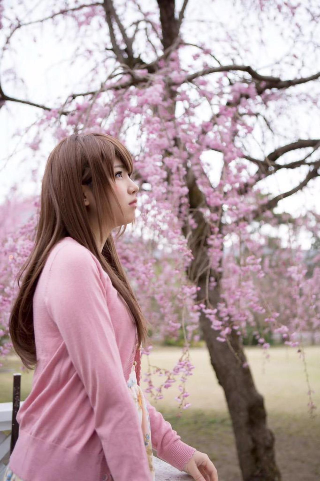 えなこ侧身坐在樱花树下仰望