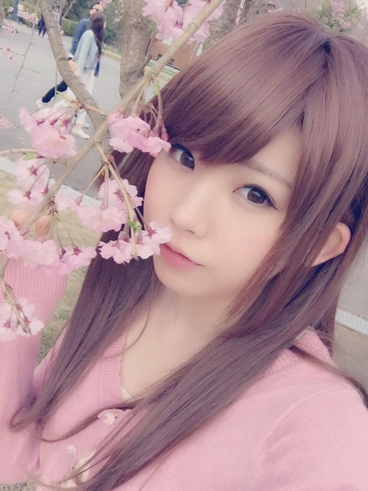 えなこ轻扶樱花树枝，亲吻樱花花瓣