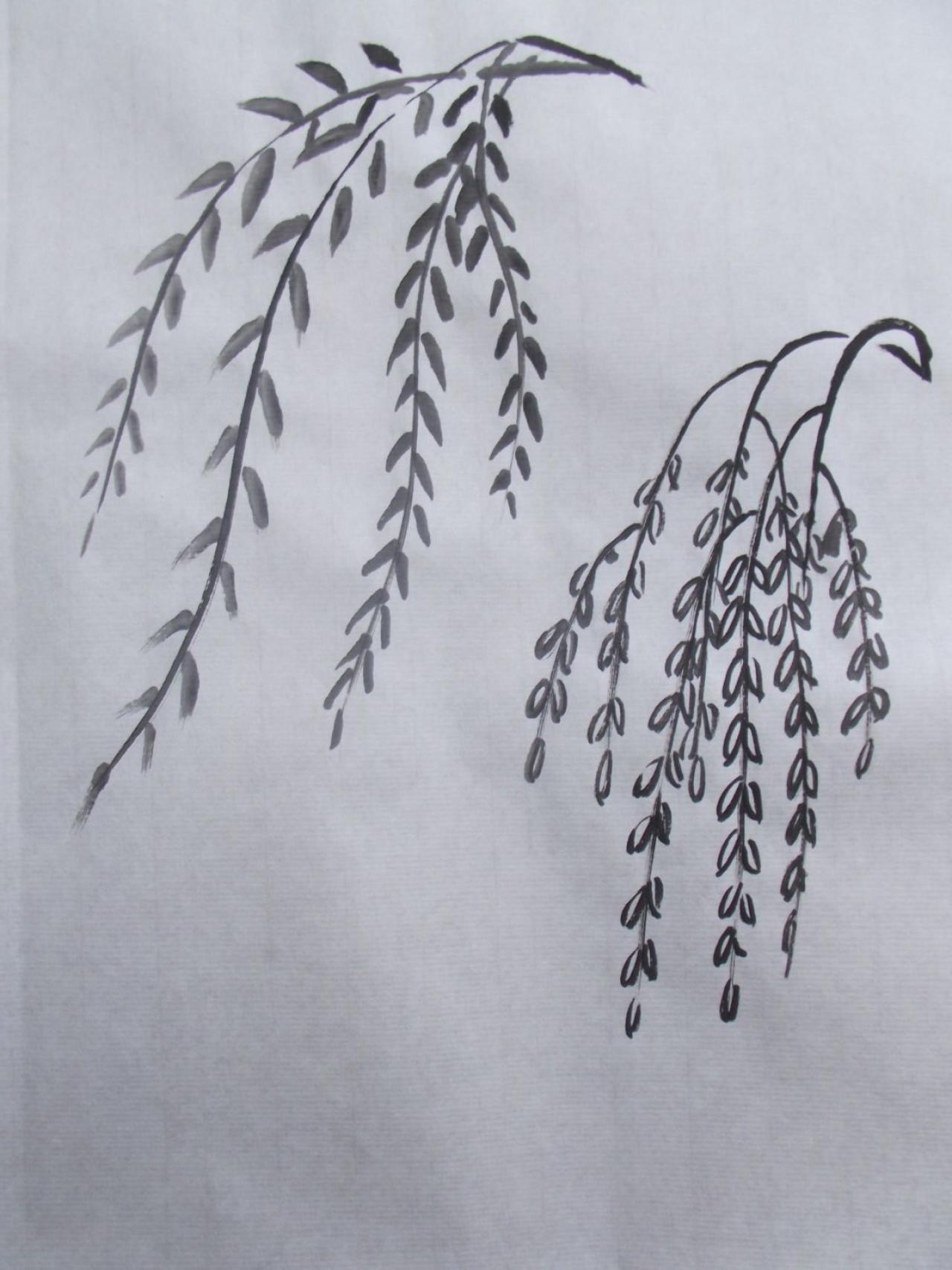 柳树的一组夹叶，一组点叶