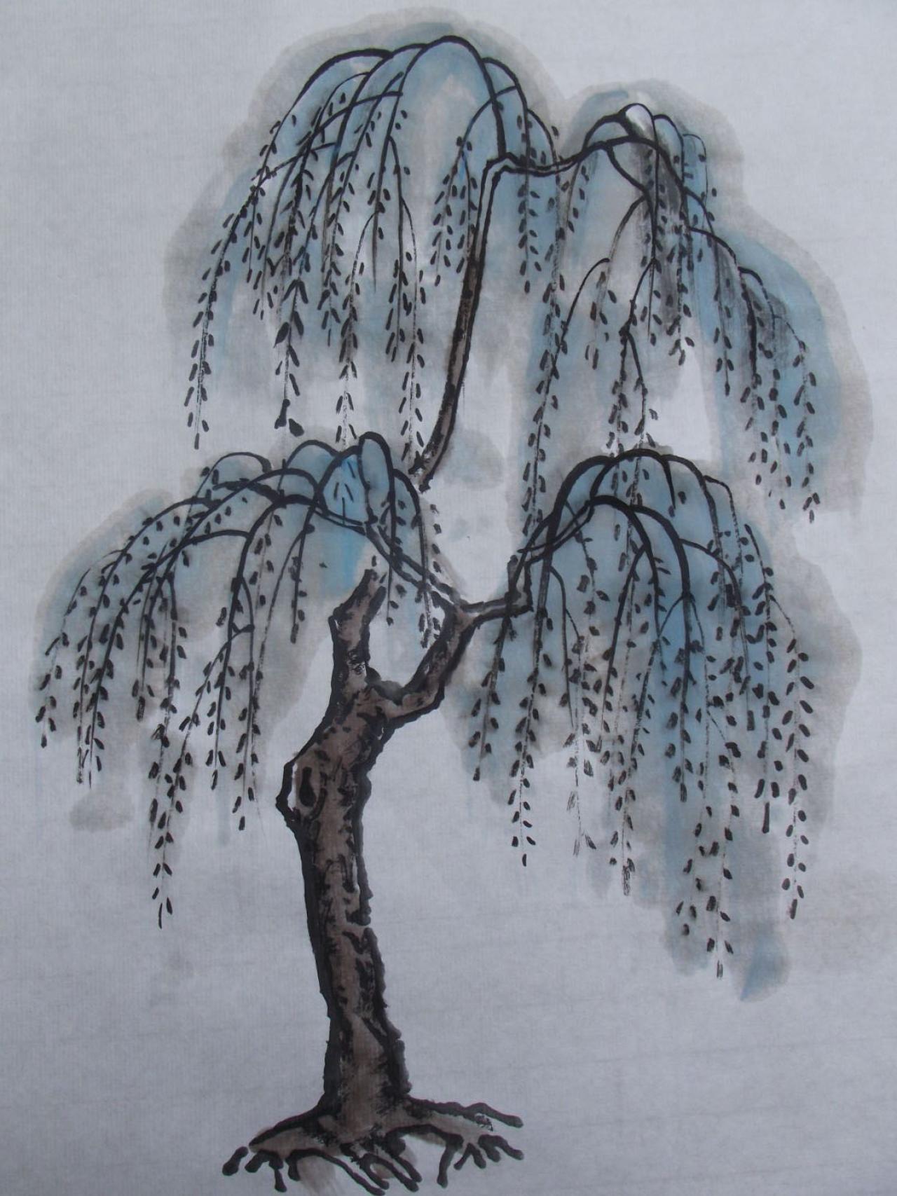 第五步，给柳树上色