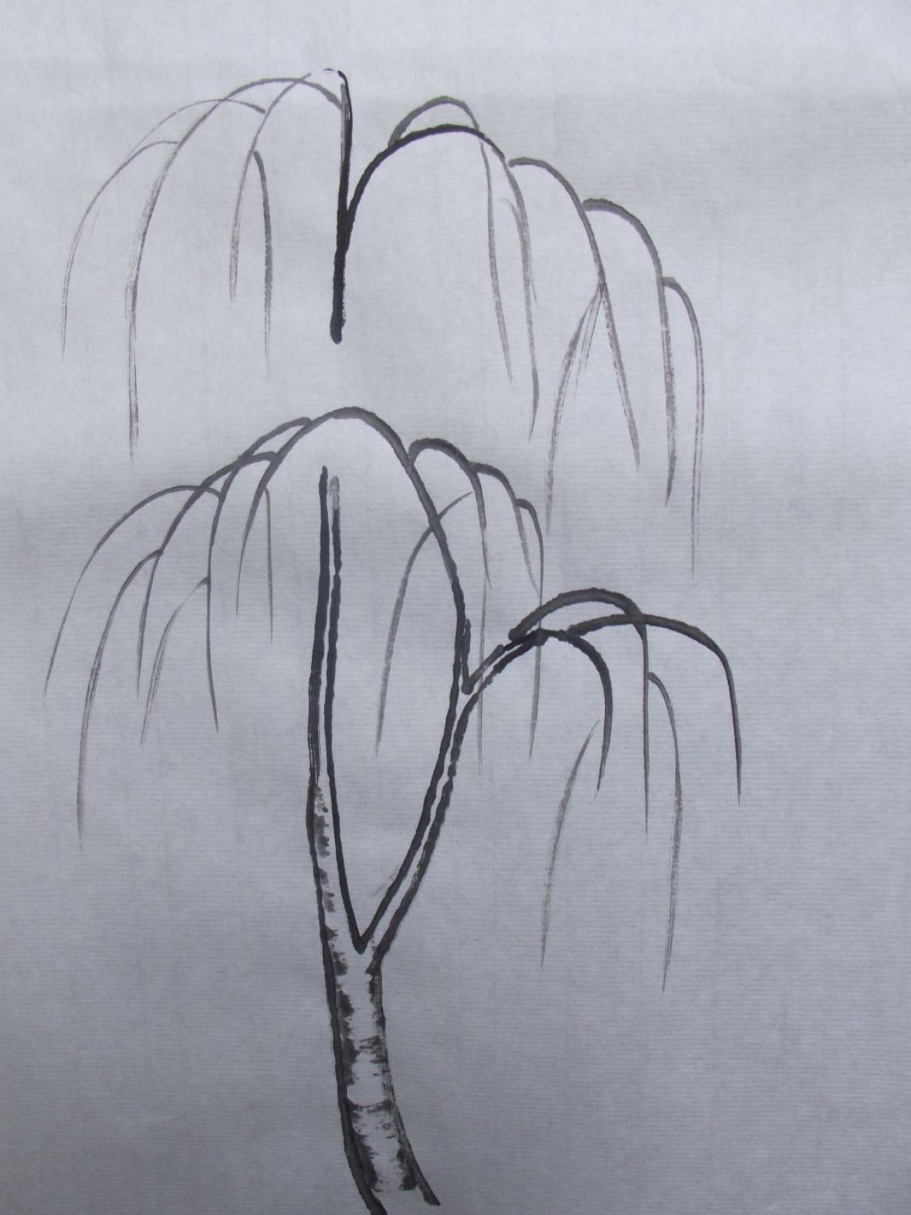 空心枝干的柳树柳枝