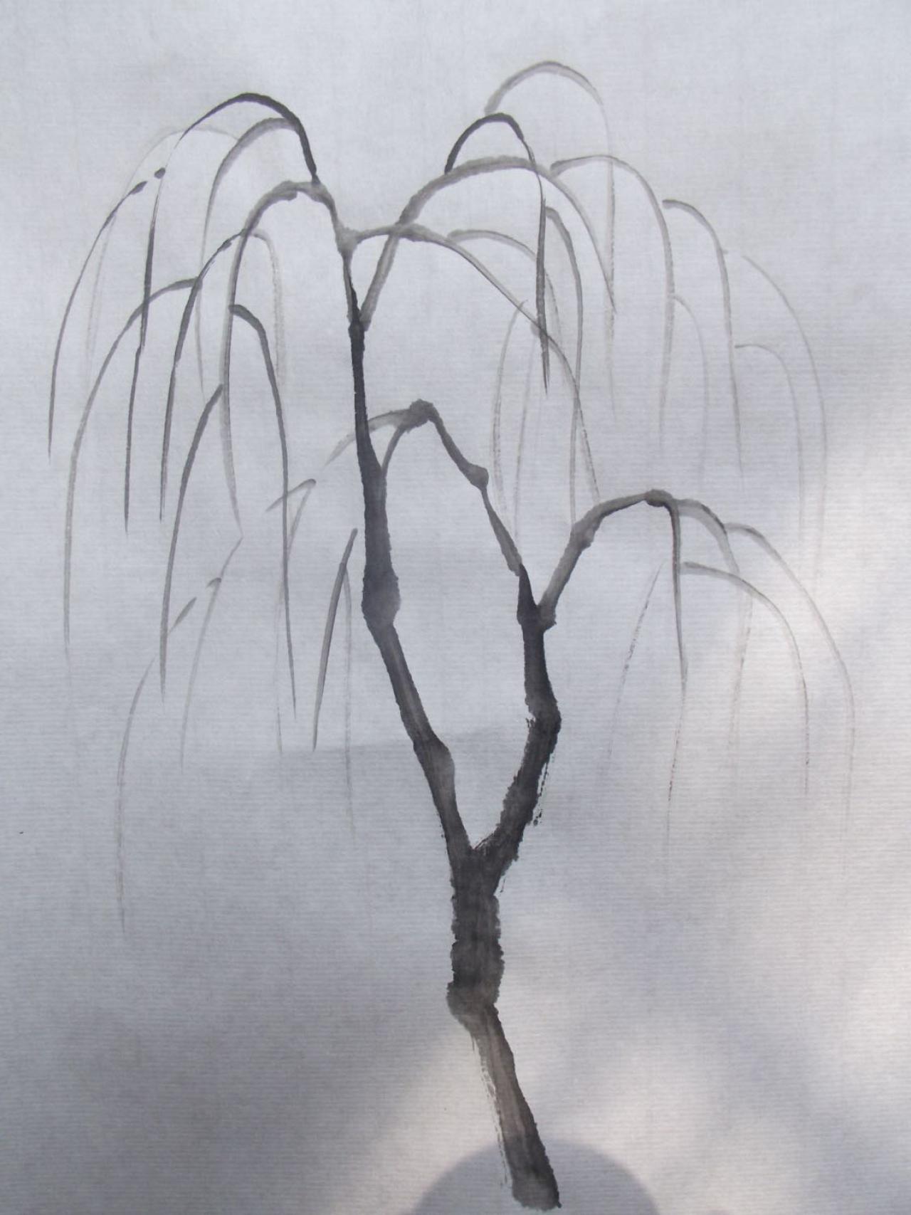 实心枝干的柳树柳枝