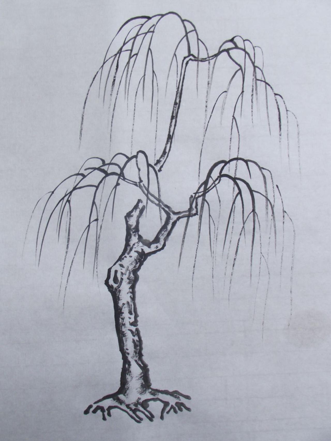 第三步，画出柳条