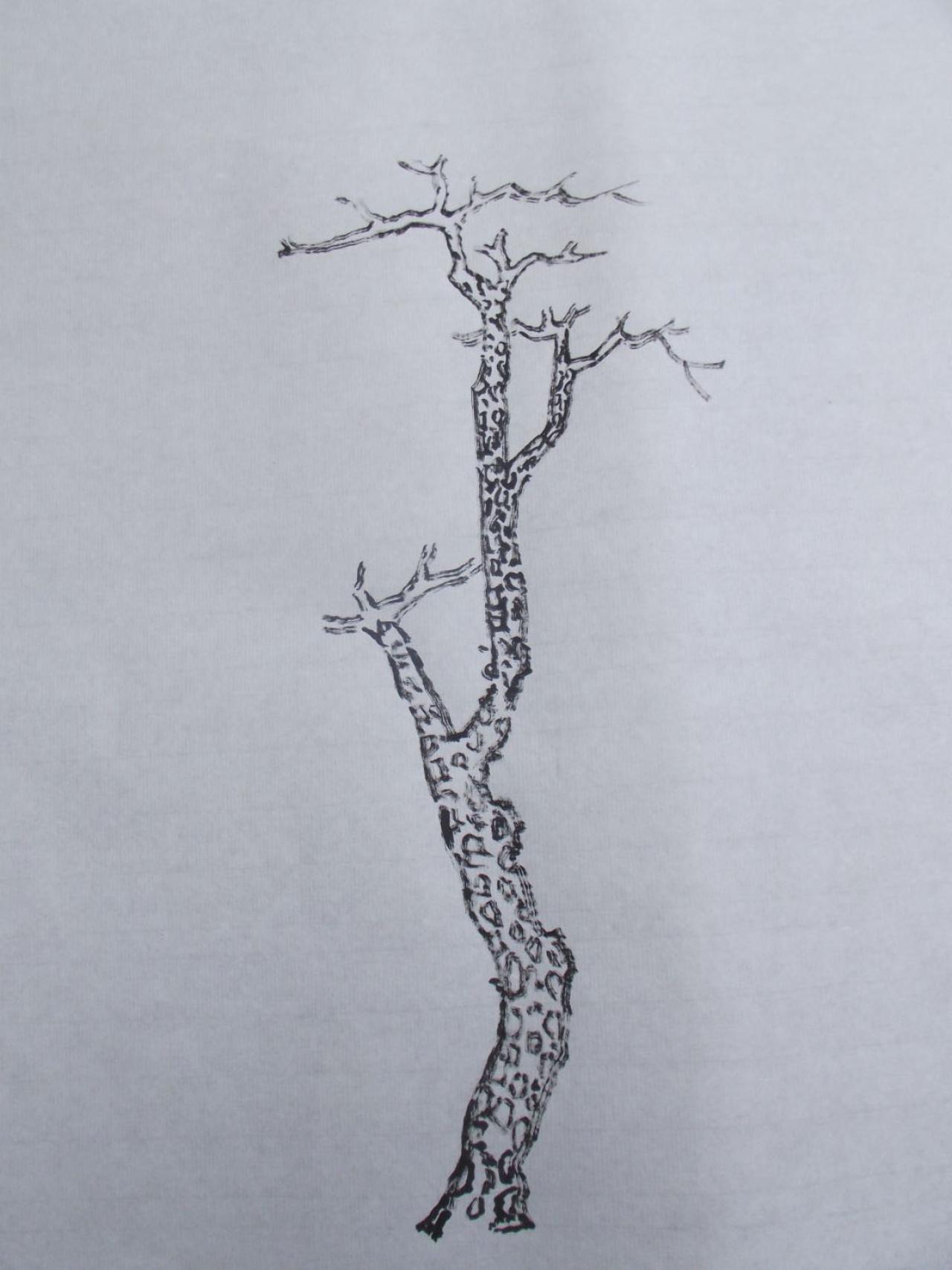 第一步，画松树树干