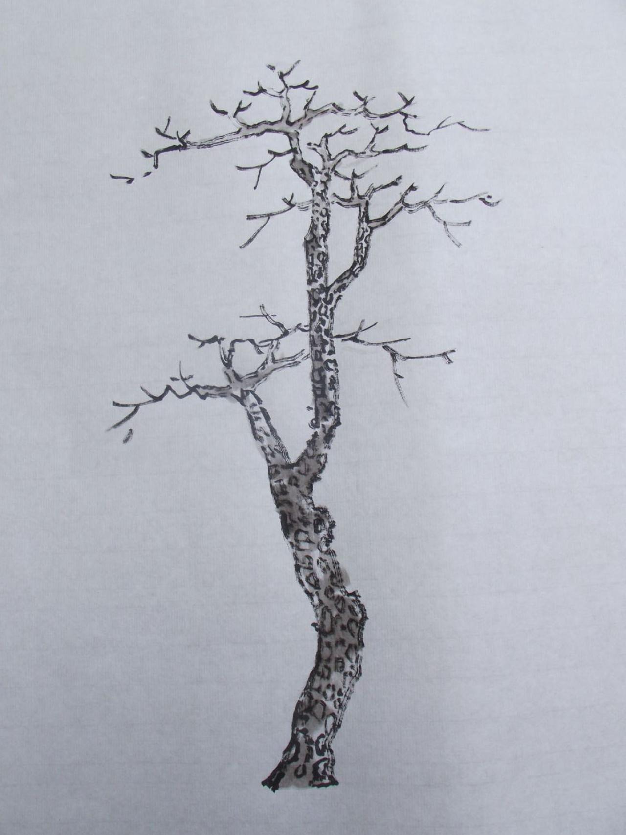 第二步，画松树树枝