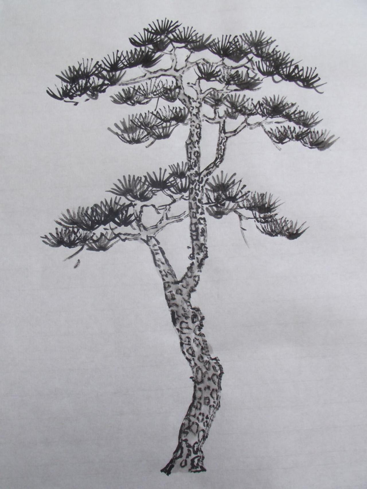 第三步，画松树树叶