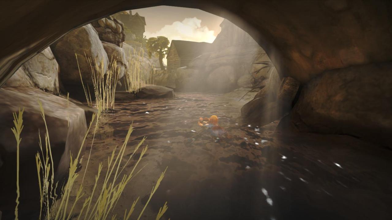 《兄弟：双子传说》中的哥哥背着弟弟游泳，情侣中的一位控制哥哥的方向，另一位则需仅仅抓住哥哥的后背