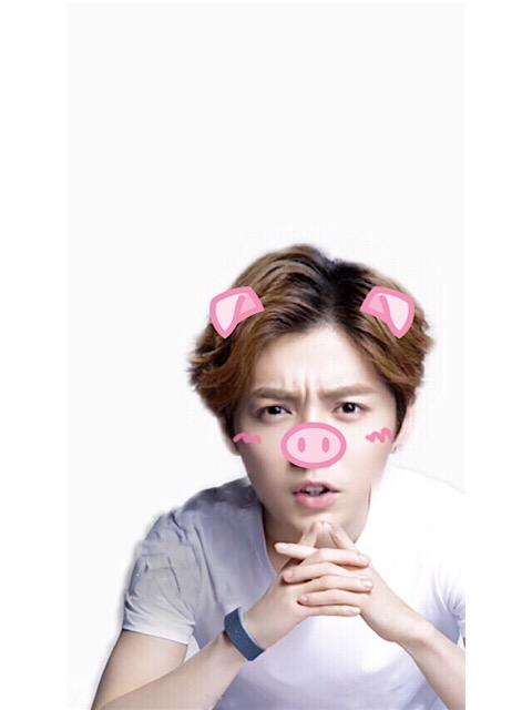 猪鼻子的鹿晗头像