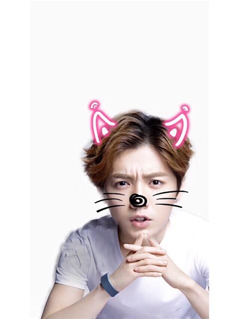 猫耳猫胡子的鹿晗头像