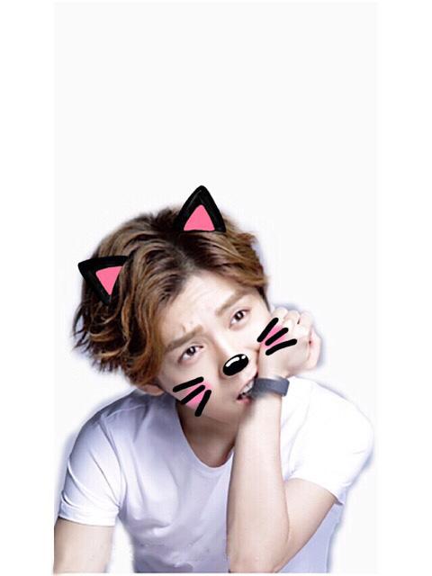 粉色猫耳猫胡子的咬手环鹿晗头像
