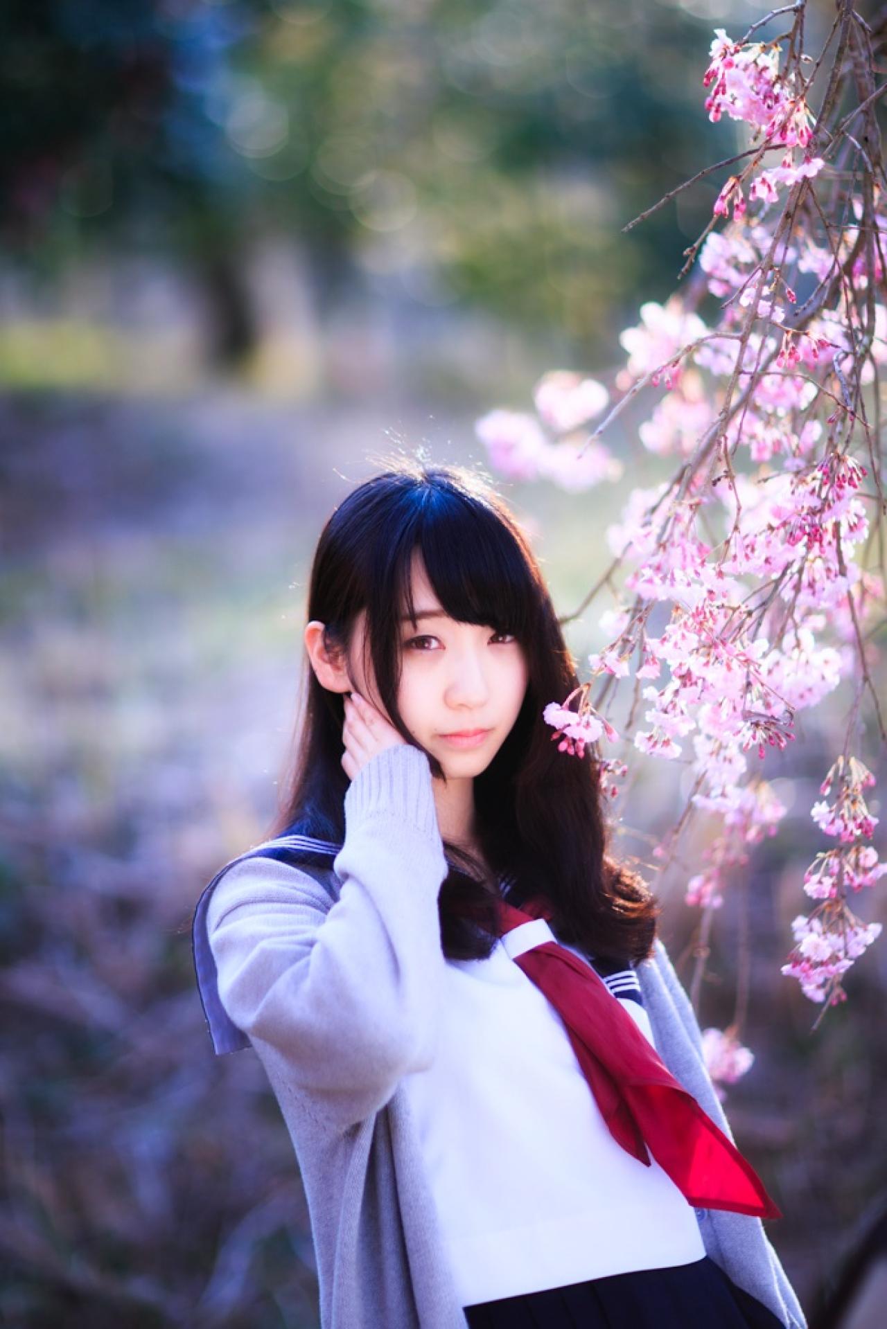 伊織站在樱花花枝下