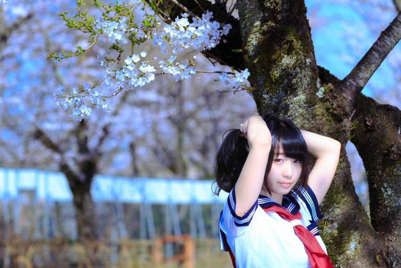 伊織双手梳起马尾辫，站在白色樱花花枝下 3/4侧面 横幅