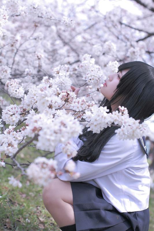 白玉ろぷ侧身蹲在树旁，双手扶着樱花花枝