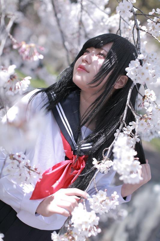 白玉ろぷ站在樱花花枝下，轻扶花枝和发梢，微侧脸，抬头仰望