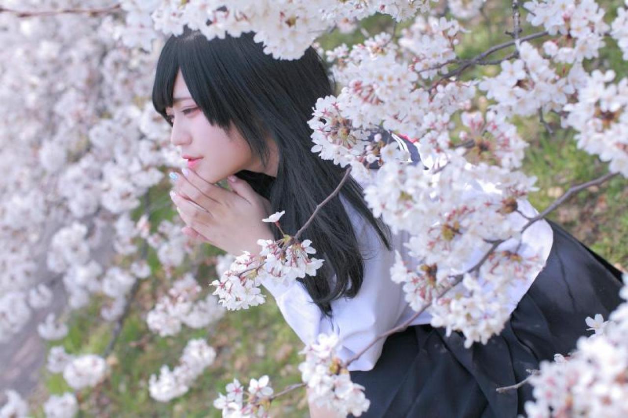 白玉ろぷ侧身蹲在樱花花枝中的侧脸