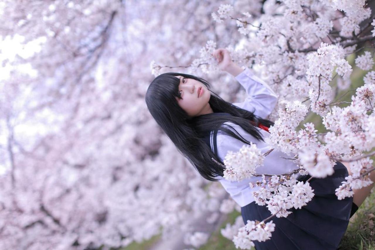 白玉ろぷ侧身蹲在樱花花枝下，左手扶着花枝，回眸