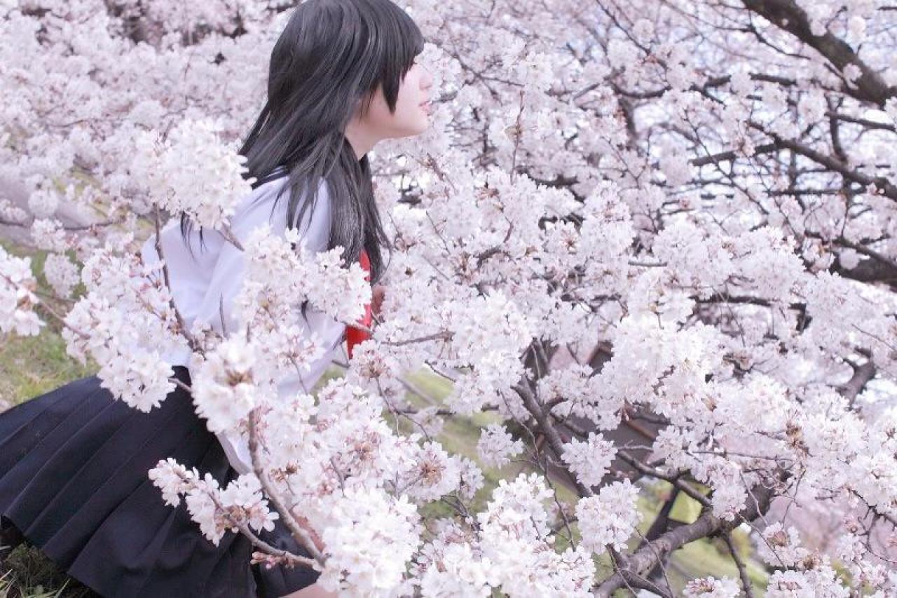 白玉ろぷ侧身仰面跪在樱花树下