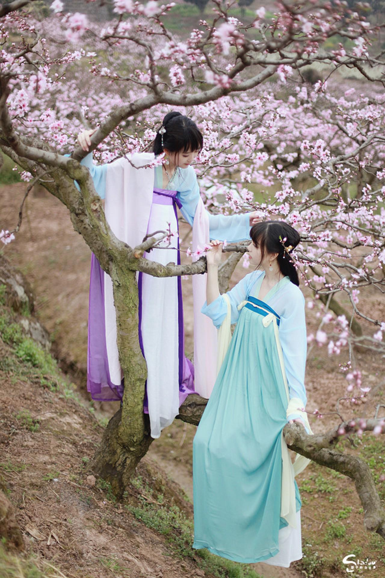 加加代站在桃花树上，七七靠在桃花树上