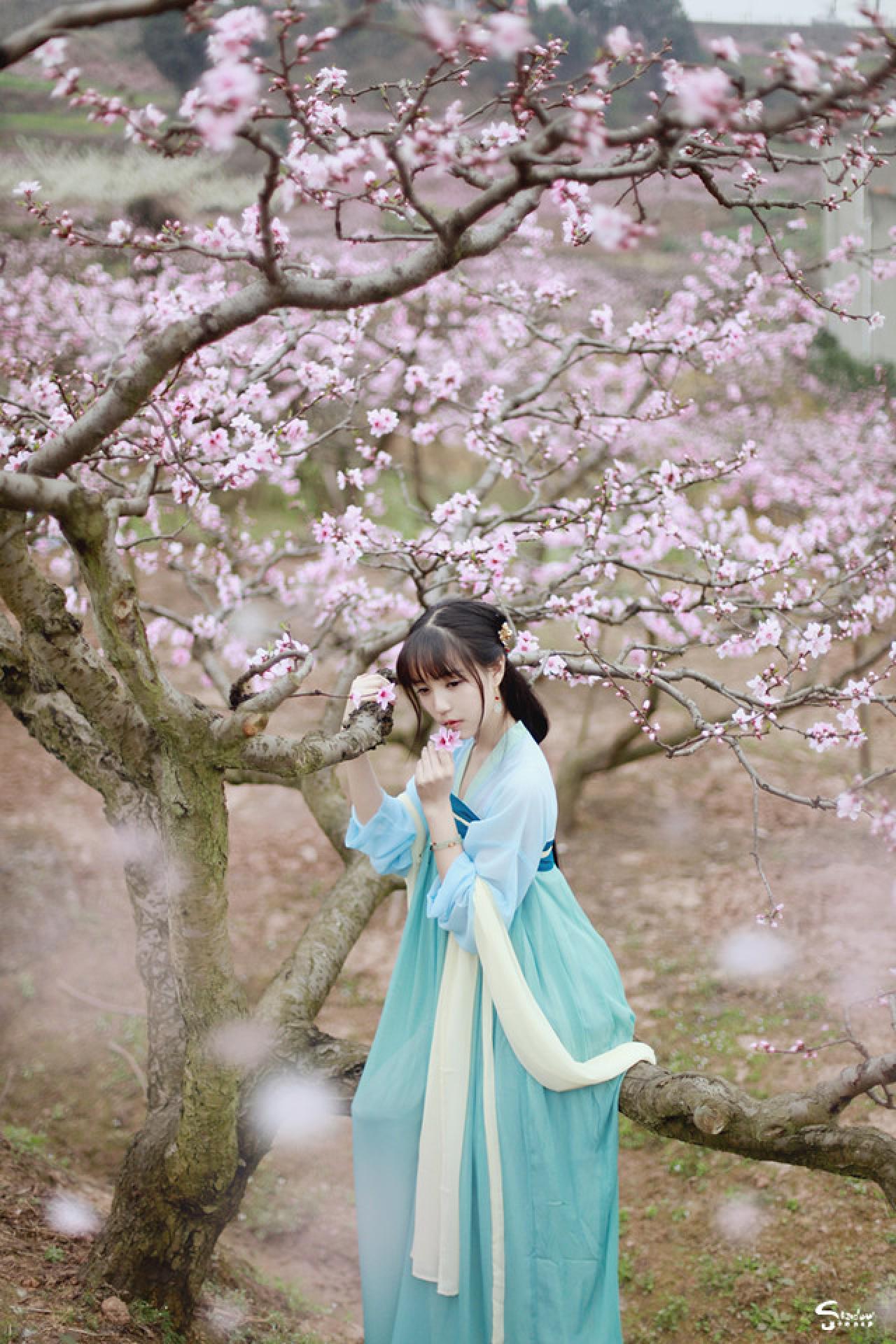 七七右手挽着枝干，左手捏着桃花，坐在树干上