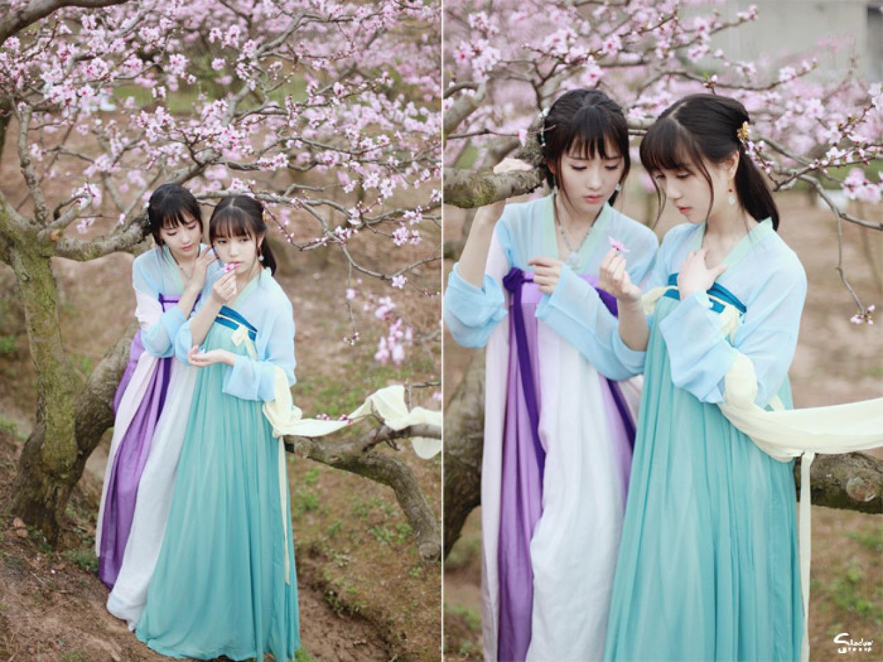 加加代看着七七手中的桃花花瓣