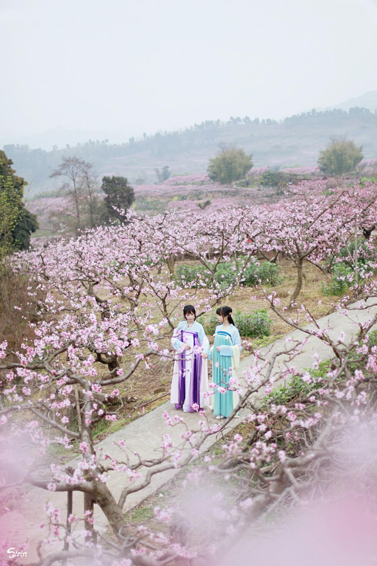 加加代和七七手拉手漫步桃花林中