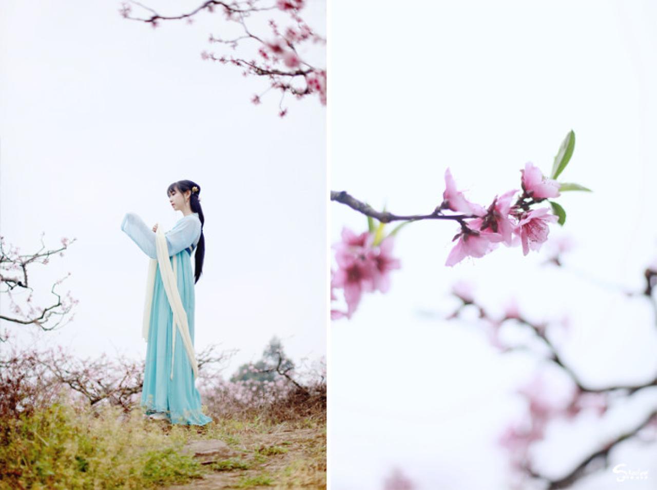 七七侧面站姿与桃花枝头