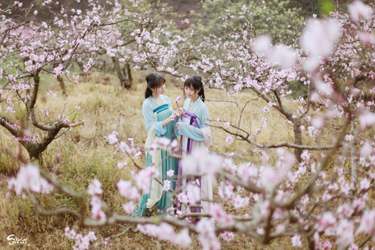 七七和加加代站在桃花树的环绕中