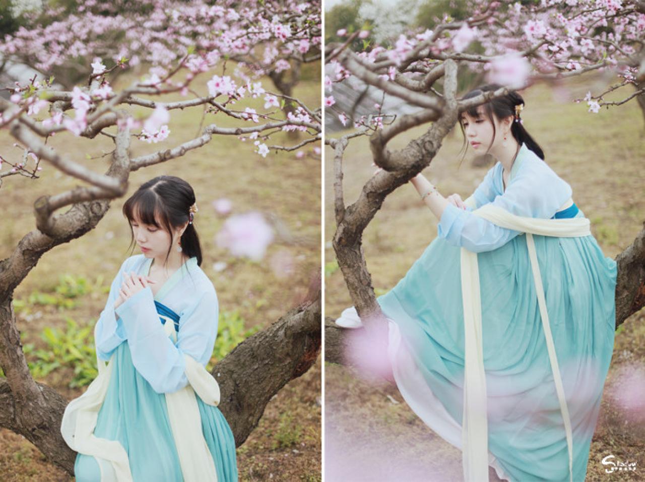 七七双手合十，放在胸前，坐在桃花树干上