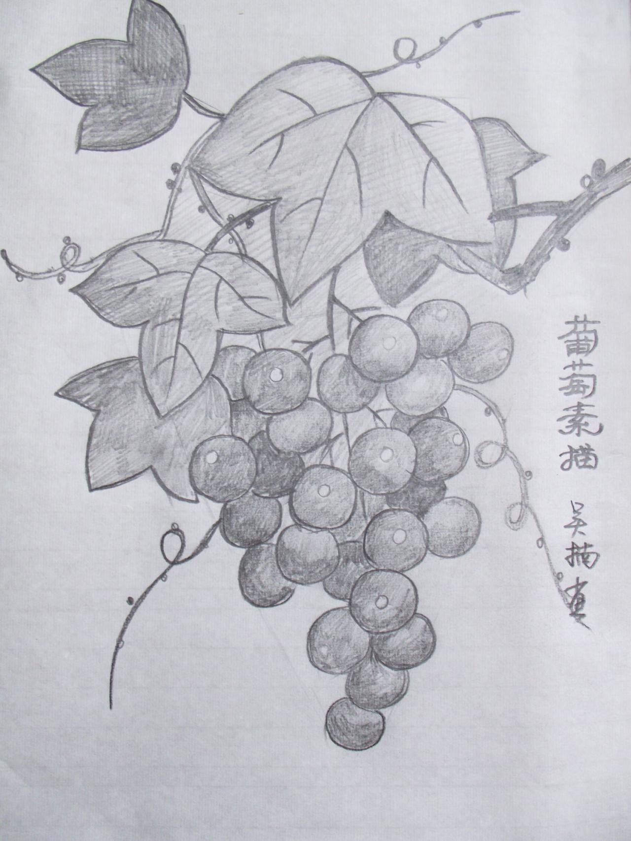 第四步,细致刻画叶子和藤蔓