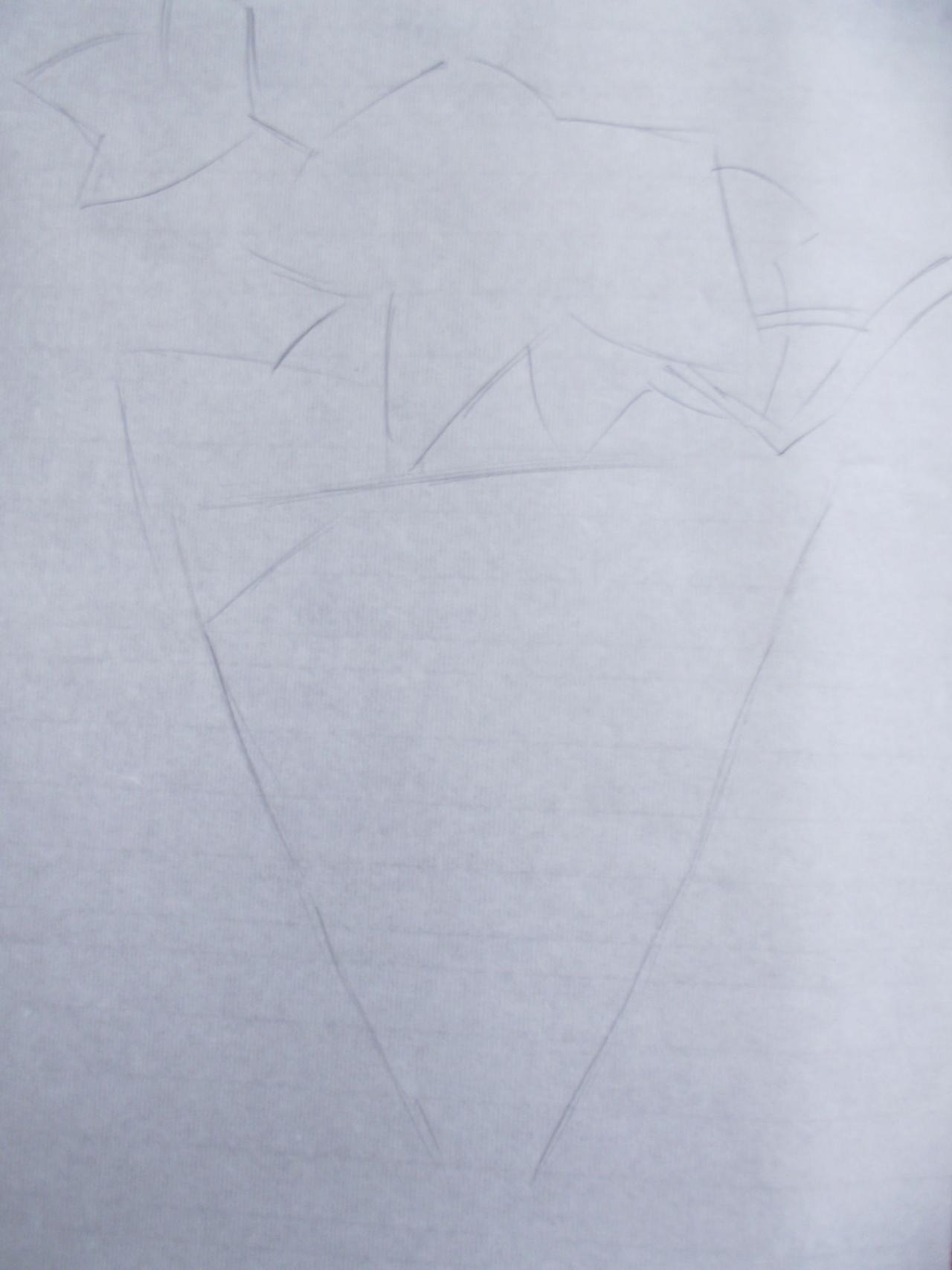 第一步,画出葡萄所占空间的大小及叶子主要枝干的位置