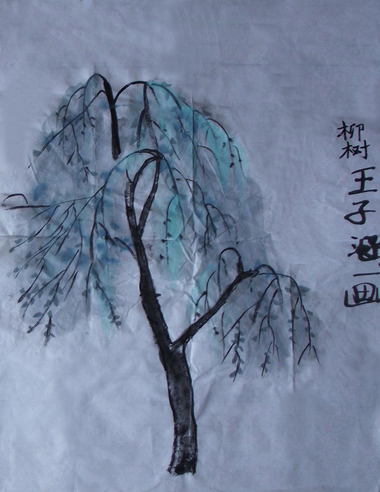 国画 柳树 王子涵画