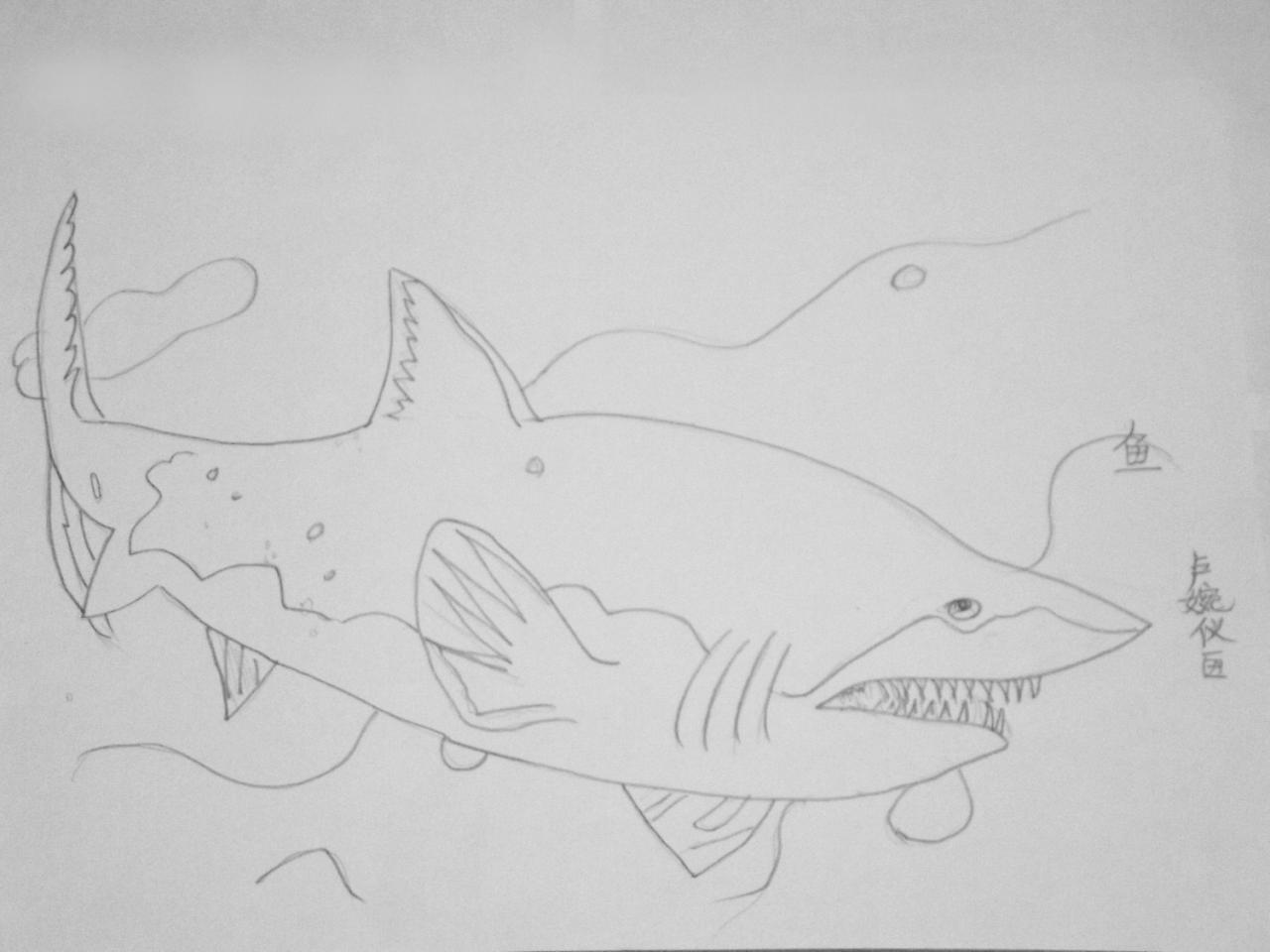 鲨鱼 卢婉仪画