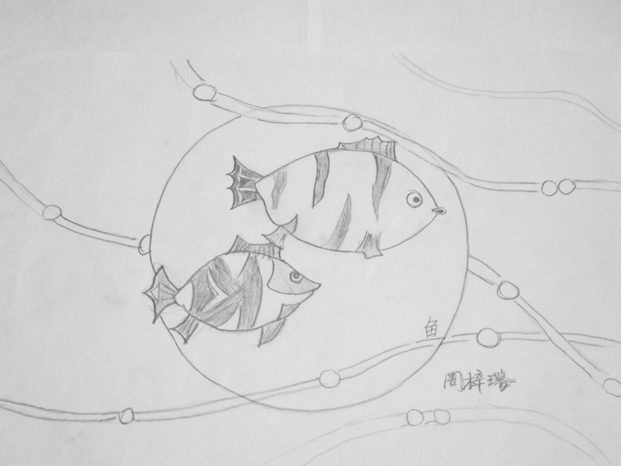 鱼 周梓璐画