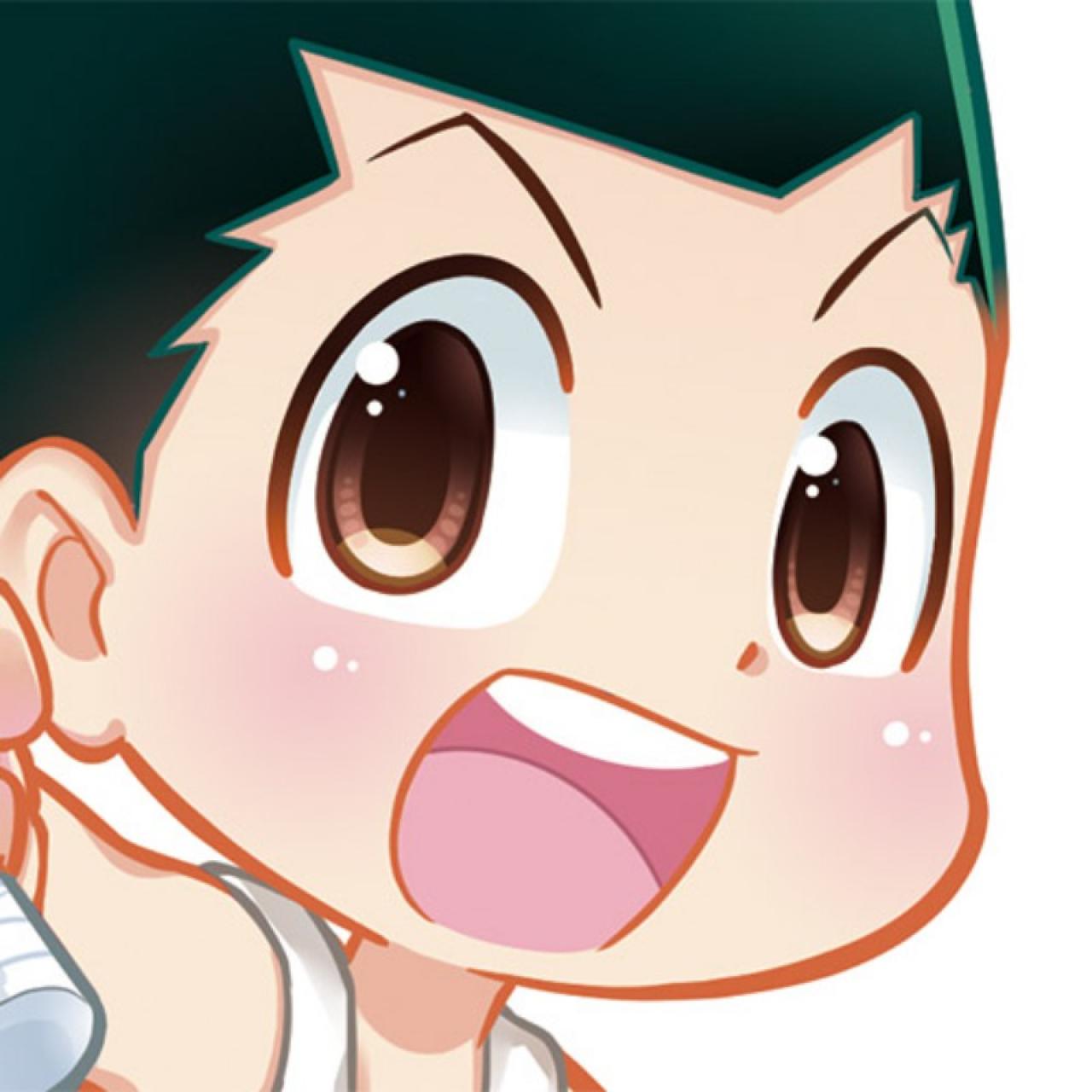 全职猎人小杰·富力士头像