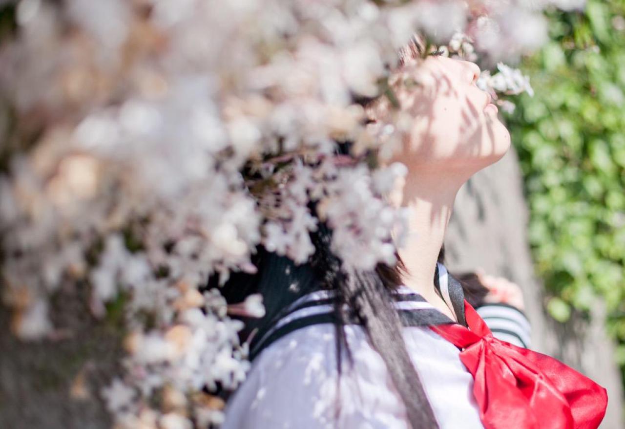 イチジョウリヲ闭着眼睛倚靠在花枝之中的侧脸