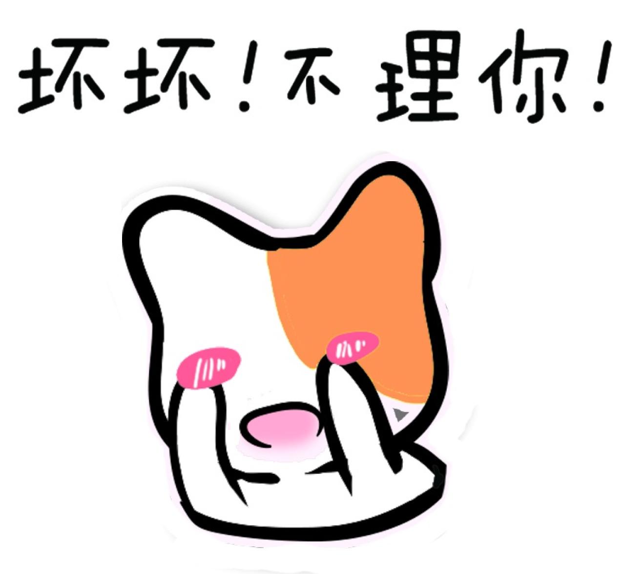 揉脸的猫咪表情：坏坏！不理你！