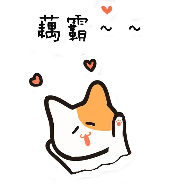 花痴的猫咪表情：欧巴（哥哥）~