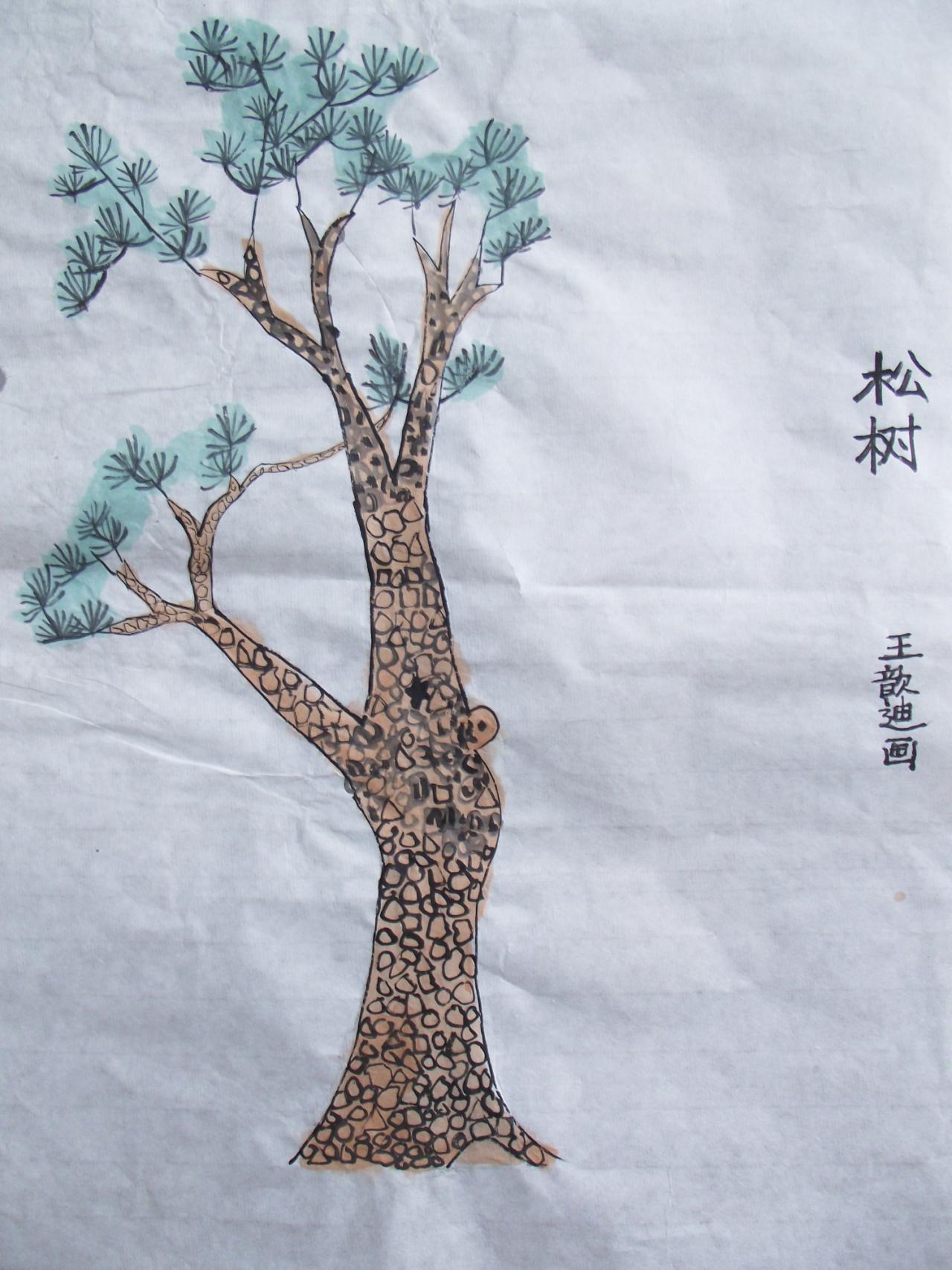 松树 王歆迪画