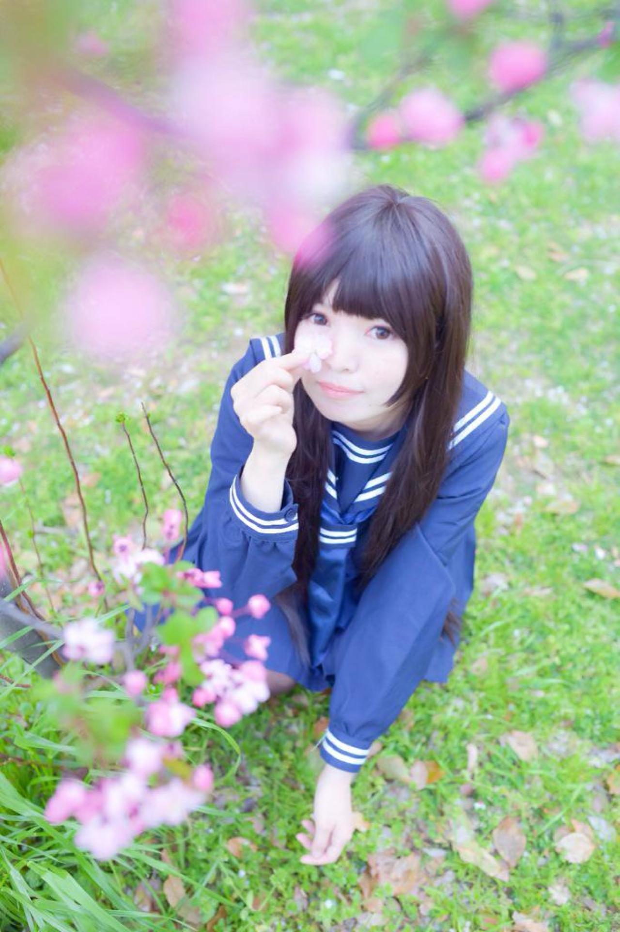 ちっぴー蹲在樱花树下，拾起一片花瓣贴在鼻子一侧