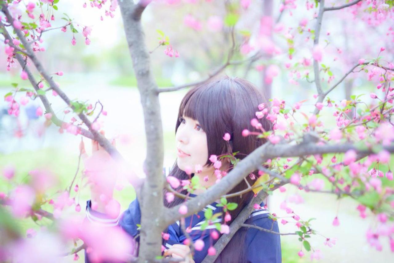 ちっぴー站在樱花树干中，轻扶樱花树枝