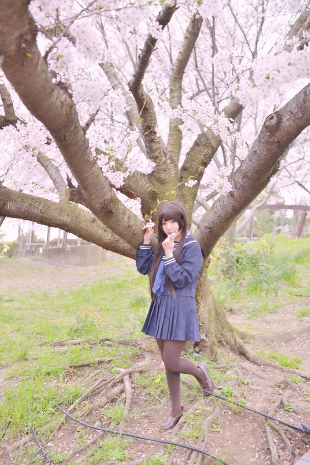 ちっぴー站在樱花树下轻扶树干，抬起左腿