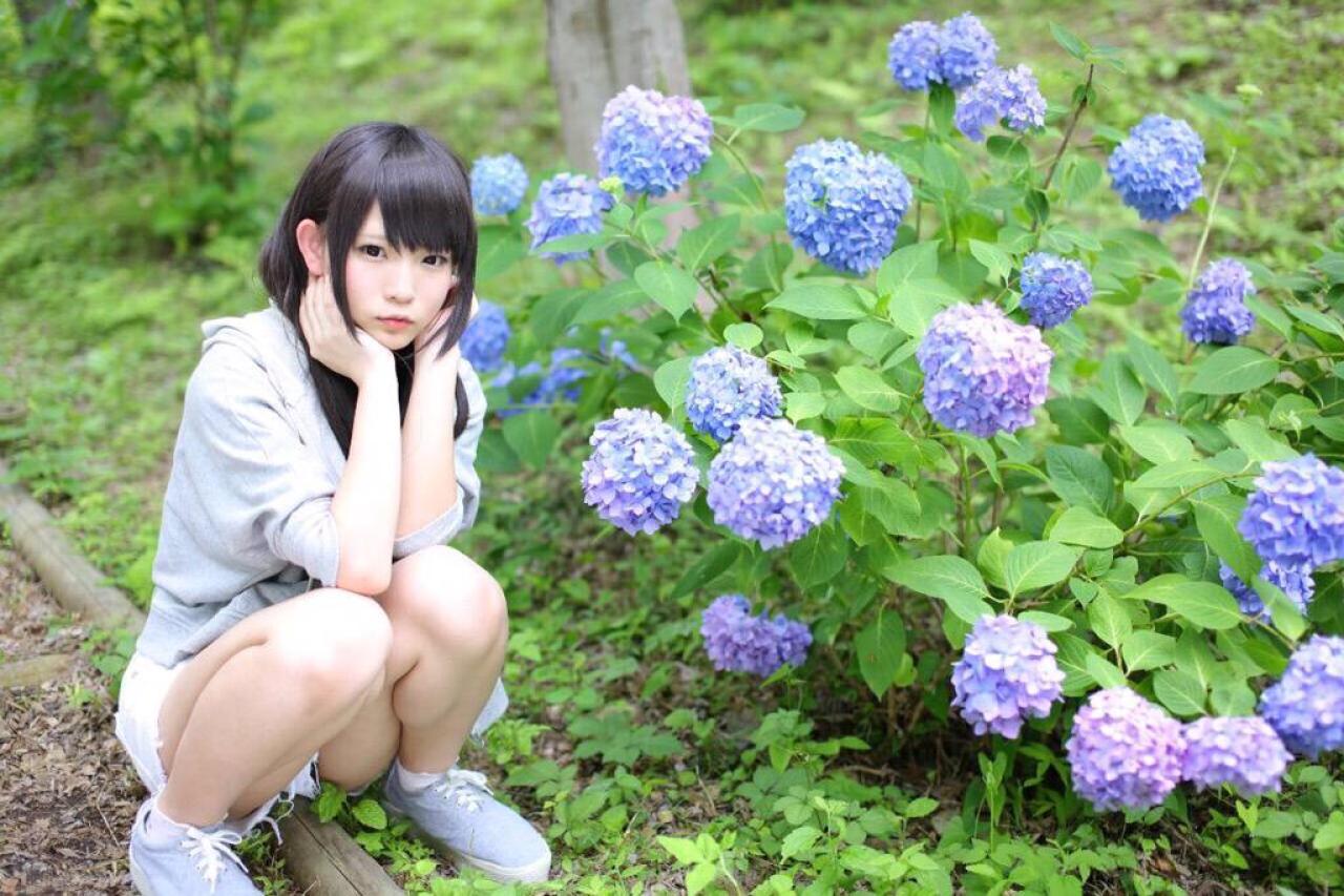 せん双手捧脸蹲在蓝色紫阳花旁