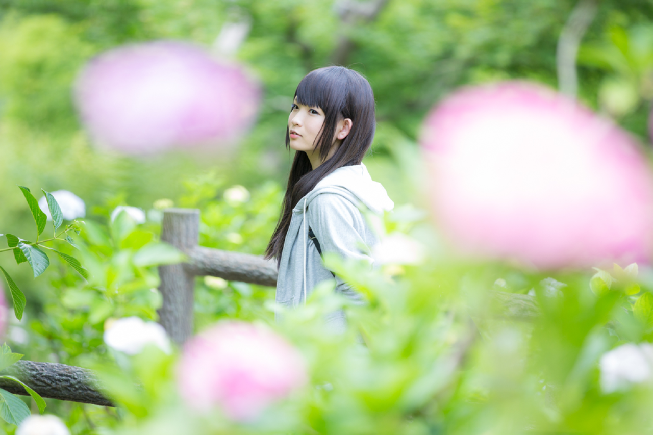 せん侧身站在紫阳花的花丛中