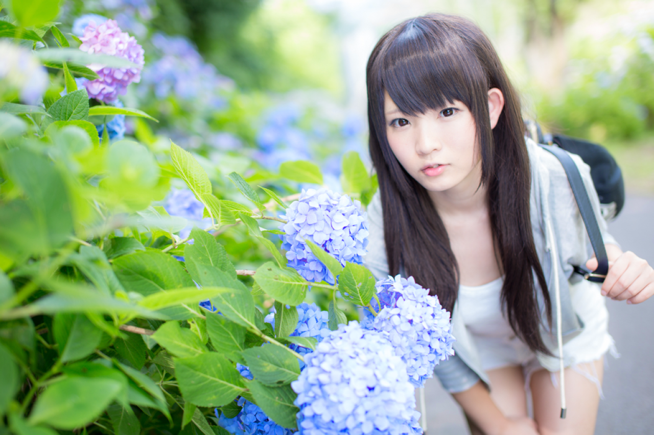 せん前倾身子，轻闻蓝色紫阳花的香气