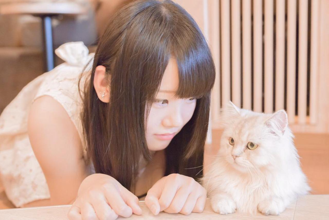 東雲りん双手作猫爪卖萌与一同趴在桌上的猫咪对视聊天