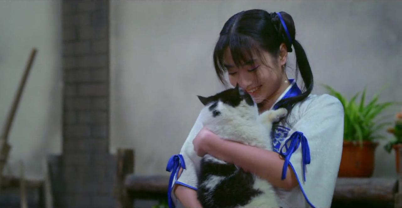 孙雪宁扮赵灵儿抱着名叫咪咪的猫咪