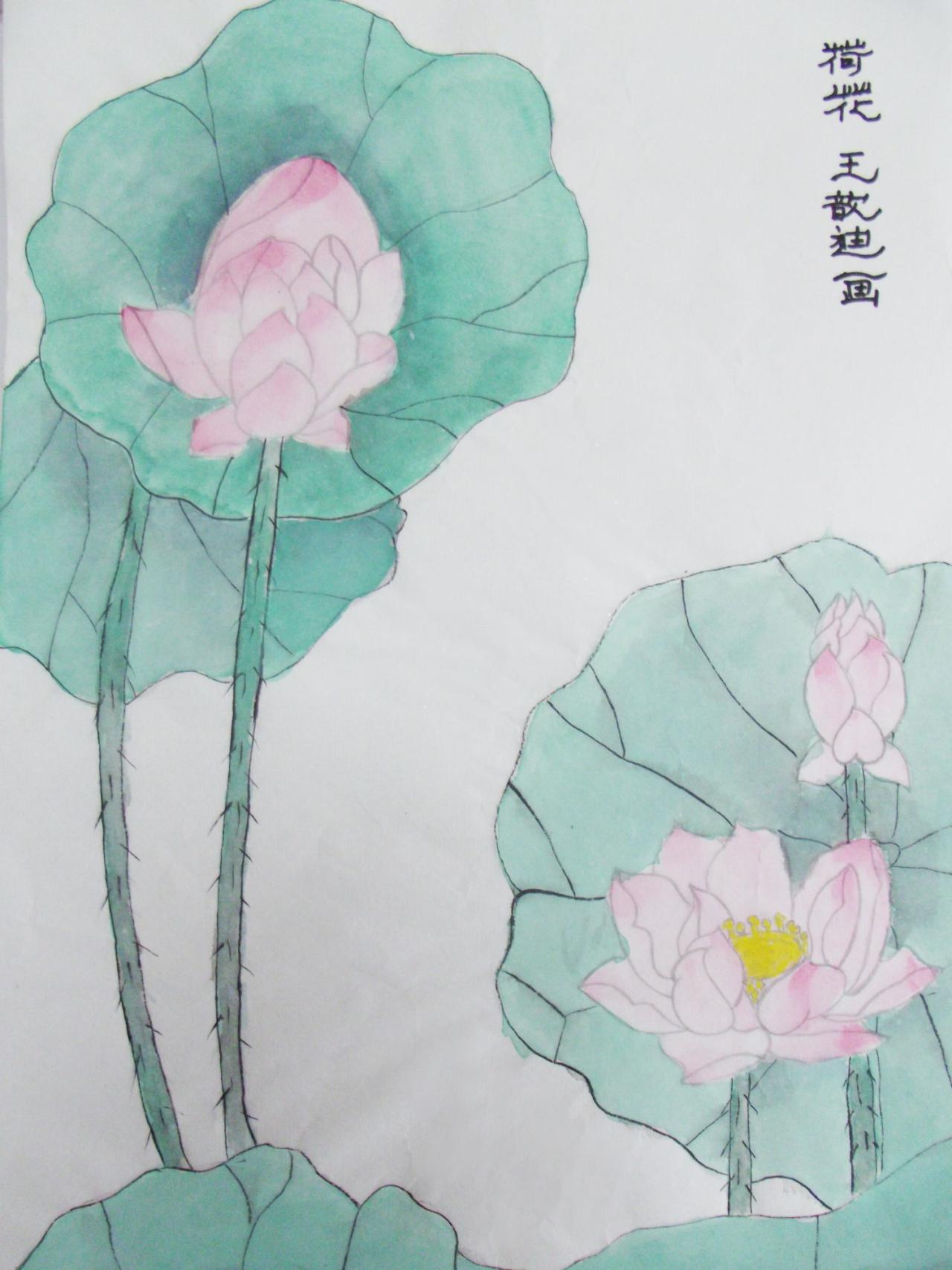 工笔画 荷花 王歆迪画