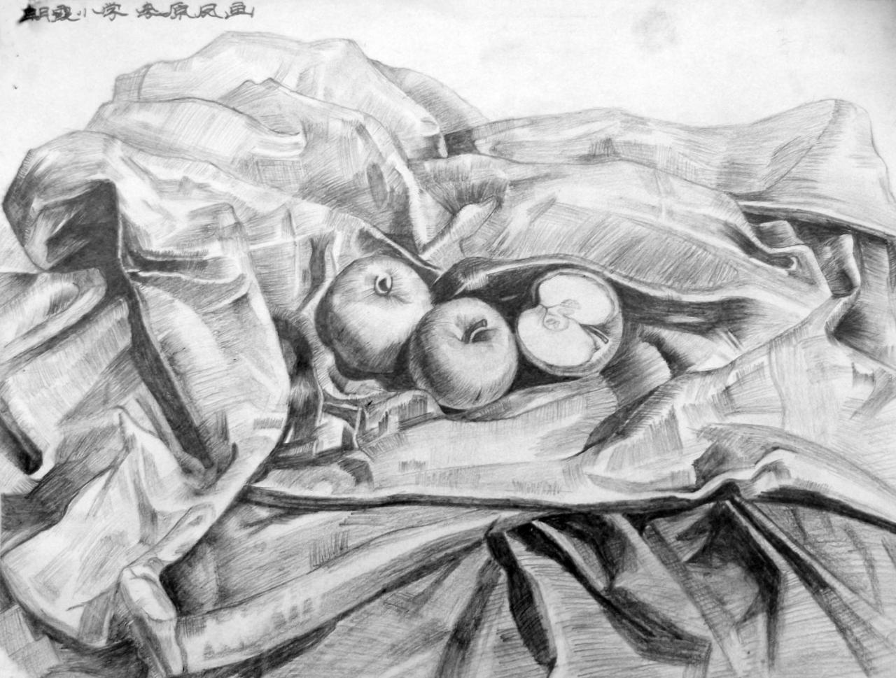 苹果 静物素描 来原凤画