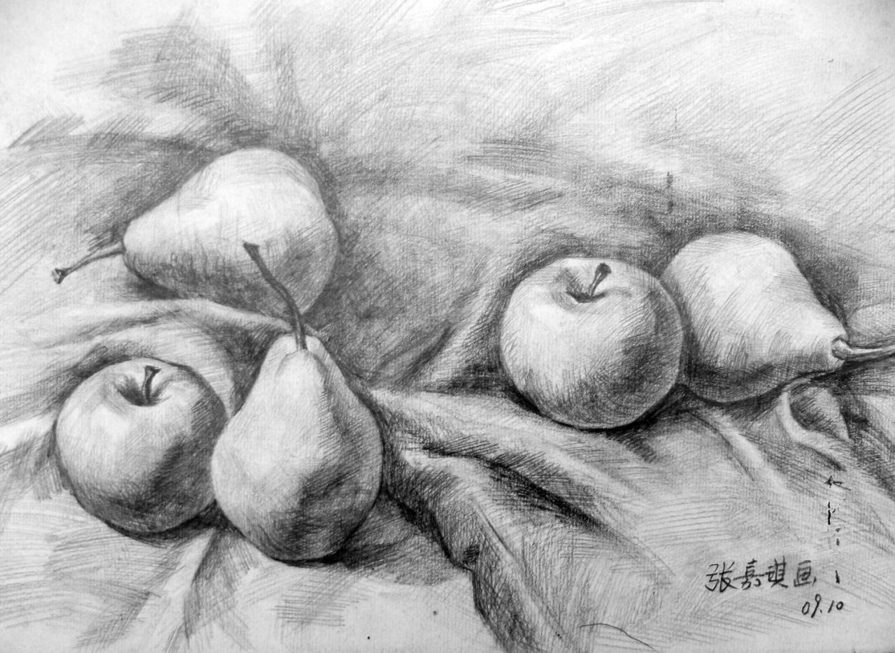 梨、苹果 静物素描 张嘉琪画